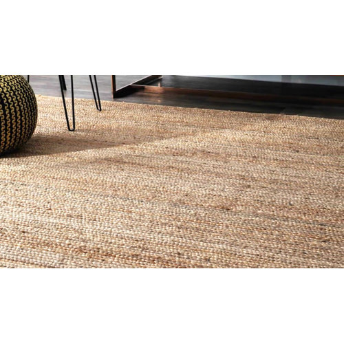 House of Hampton Kiara HandBraided Tan Rug & Reviews Wayfair.co.uk
